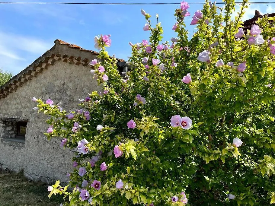 Las Vignes - Ou Le Calm Apaise L'Ame Cazes-Mondenard Apartment